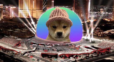 Crypto : -70% from its peak… Is it time to buy Dogwifhat
