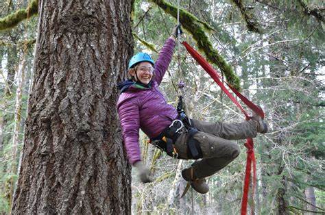 What I Learned at My First Tree-Climbing Workshop