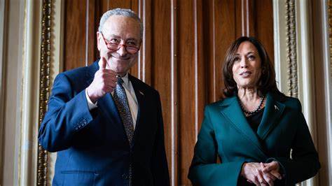 US crypto bill could 'happen' with Harris' support — Senator Schumer - Crypto Briefing