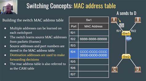 The Mac Address System: A Bio-Digital Interface?