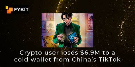 Crypto user loses $6.9M to a cold wallet from China’s TikTok