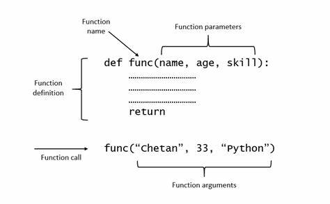 A Story About Parameters and Arguments in Python Functions