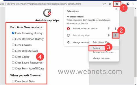 Auto History Wipe