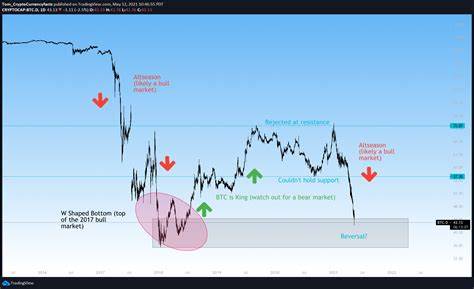 Navigating the Crypto Market Cycle: An In-Depth Analysis of Cowen’s Chart and Bitcoin’s Dominance in 2025 - HPBL