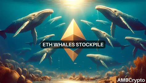 Ethereum Whales Add $3.8B in ETH as Retail Sells Into Sideways Chop – What is Next for ETH Price?