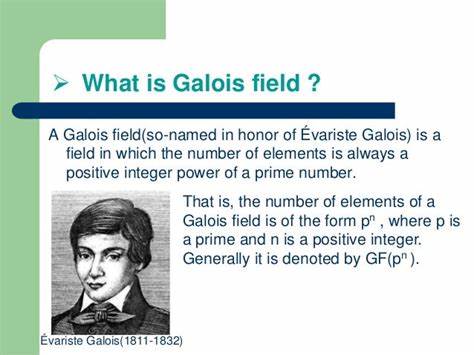 Show HN: Learn You Galois Fields for Great Good
