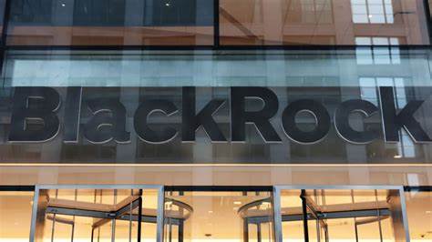 BlackRock removed from Texas divestment list after climate alliance exits