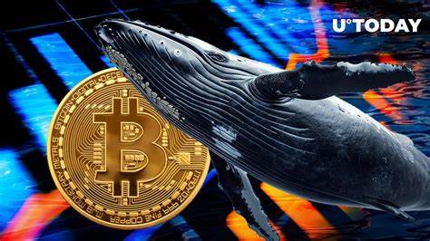 Satoshi-Era Bitcoin Whale Stuns Bitstamp With Massive BTC Transfer