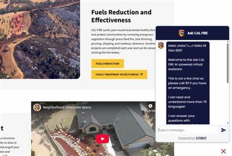 California launches AI-powered chatbot with wildfire resources in 70 languages