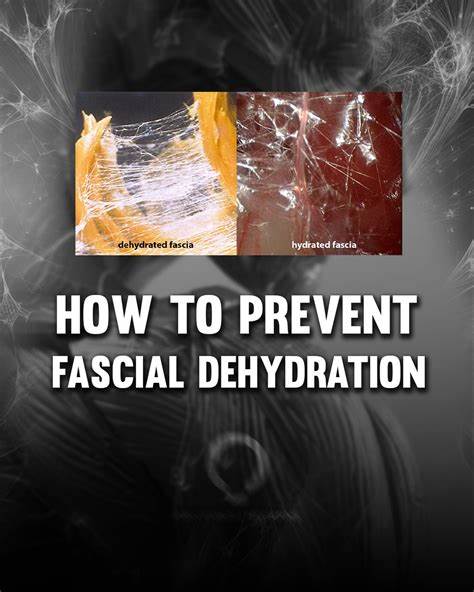 Fascial Dehydration Steals Your Mobility: How to Reverse It