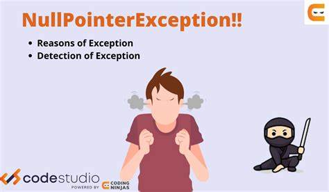 How to Solve a NullPointerException Correctly