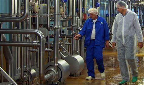 Arla factory in Germany hit by cyber incident