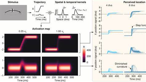 Lawful kinematics link eye movements to the limits of high-speed perception