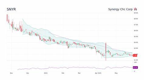 Here is What You Need to Know Before Investing in Synergy CHC Corp. (SNYR)