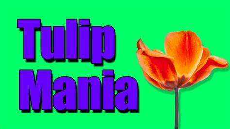 Tulips - Greater Fool