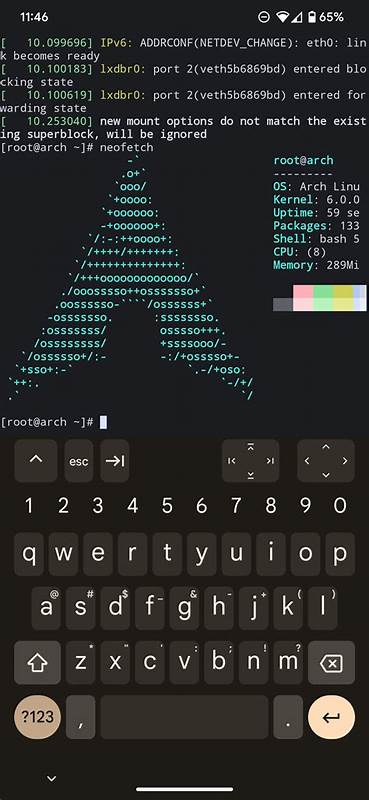 Development with Linux Terminal pKVM VM on Pixel Tablet