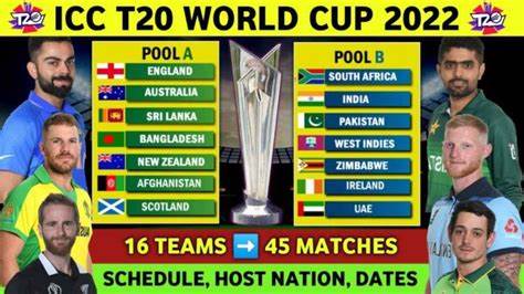 Crypto lessons you can take from the ICC T20 World cup! - The Economic Times