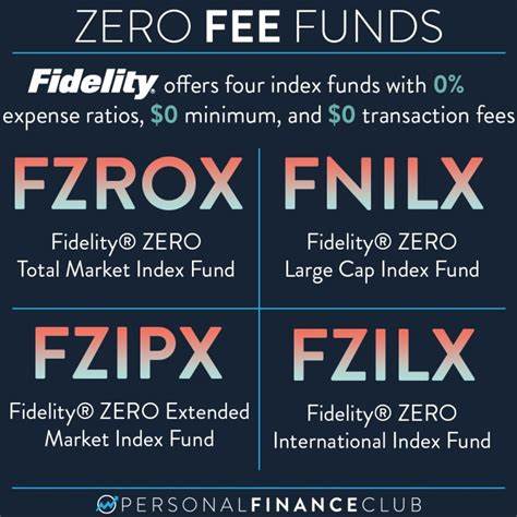 Is Fidelity ZERO International Index Fund (FZILX) the Best International Index Fund to Invest In?