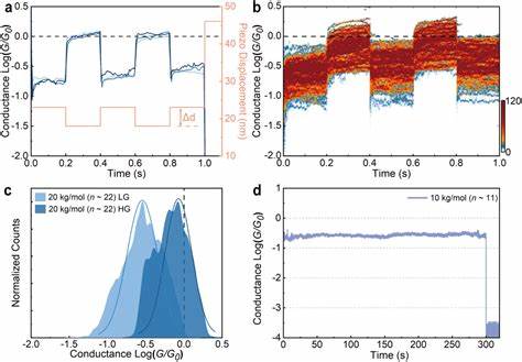 Resonant Charge Transport Through Open-Shell Donor–Acceptor Macromolecules
