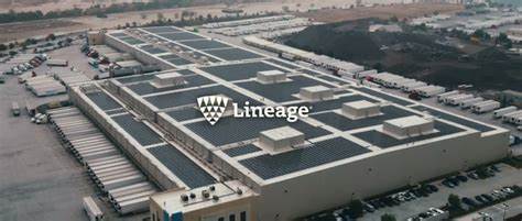 How Hot Is Cold Storage? A First Look At Lineage