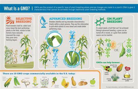 Why do we use GMOs?