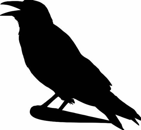 The Crow Programming Language