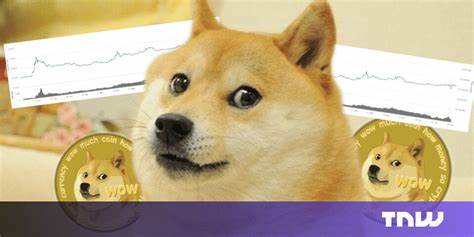 Meet the brave devs trying to take Dogecoin beyond the meme - TNW
