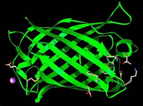 I told AI to make me a protein. Here's what it came up with