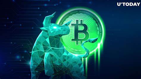 On-Chain Data Signals This Bitcoin Bull Run Is Just Getting Started