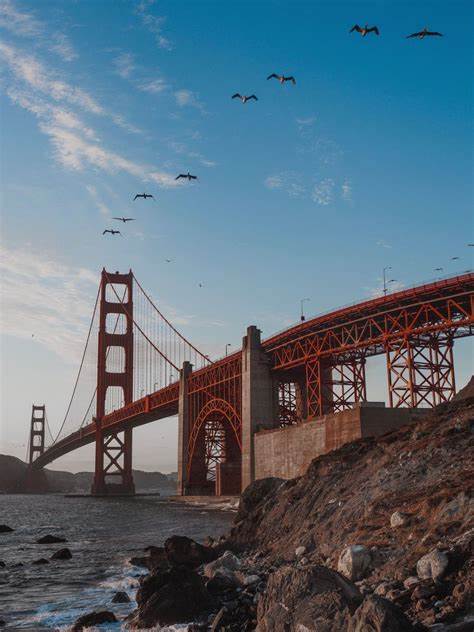 San Francisco boasts 100+ crypto-accepting businesses and 400+ ATMs - Cryptopolitan