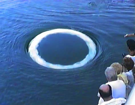 Curious humpback whales approach humans and blow bubble 'smoke' rings