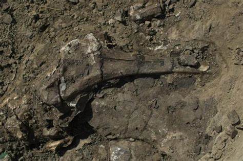 Solving the mystery of a dinosaur mass grave at the 'River of Death'