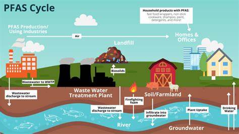 The Risks of Incinerating Forever Chemicals