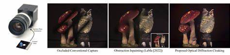 Seeing Through Obstructions with Diffractive Cloaking (2022)
