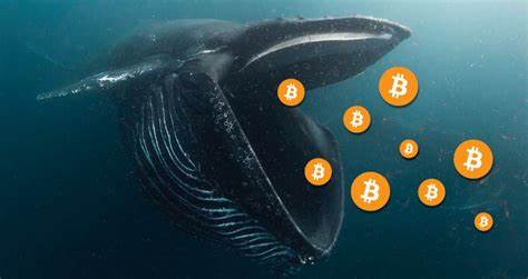 Der profitable Kryptowährungswal kauft diesen Token im Wert von 3 Millionen US-Dollar
