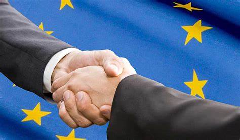 Gründung einer Europäischen Gesellschaft (SE)
