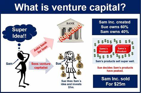 What is venture capital?