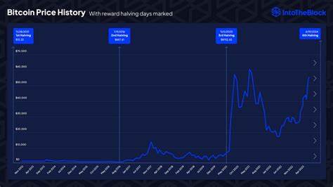 How Does Bitcoin Price Historically Move 1 Month Prior to Halving? - TradingView