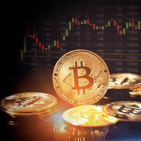 Regulation makes crypto markets more efficient - University of Florida