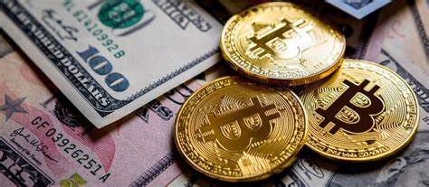 5 Best Crypto Coins for Long-term: 10000x Returns for a Successful Crypto Portfolio