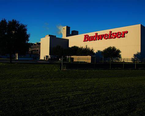 AB InBev announces $17M investment in Houston brewery