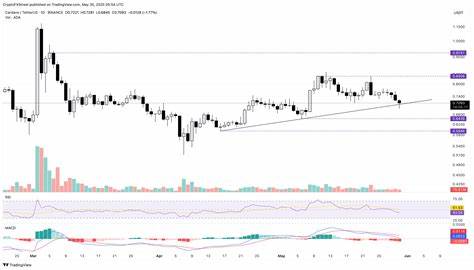 ADA and AVAX share bearish outlooks after the SEC delays ETFs