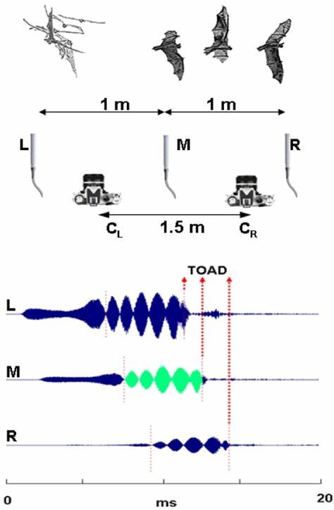 Clever Custom Software Used to Reconstruct First Recorded Sounds (2010)
