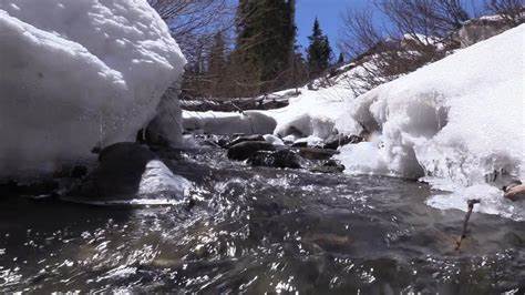 Groundwater dominates snowmelt runoff in the western United States