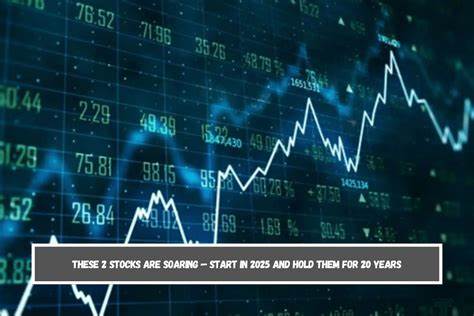 2 Soaring Stocks to Hold for the Next 20 Years