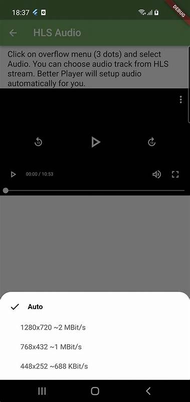 Ask HN: A better video player to learn stuff?