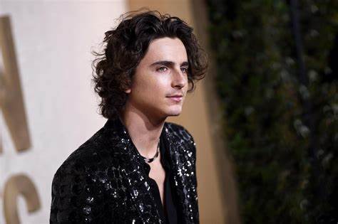 Show HN: Timothée Chalamet lookalike contest judged by CLIP