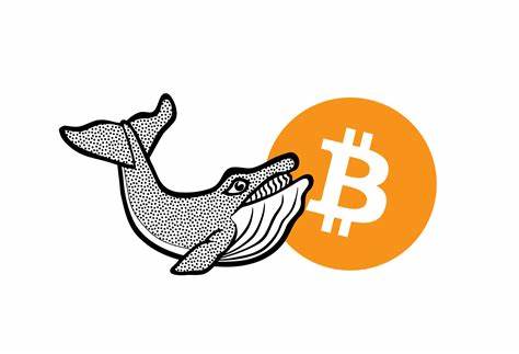 Bitcoin Whales on the Move: Is a Sell-Off Looming - The Currency Analytics