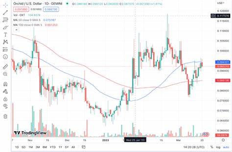 Orchid Price Prediction 2023-2032: Is OXT a Good Investment? - Cryptopolitan