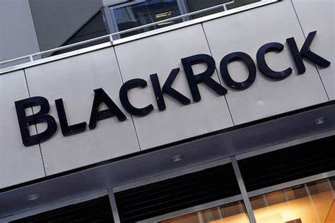 BlackRock assets hit record-high $10.65 trillion on ETF flows, rising stocks - Reuters